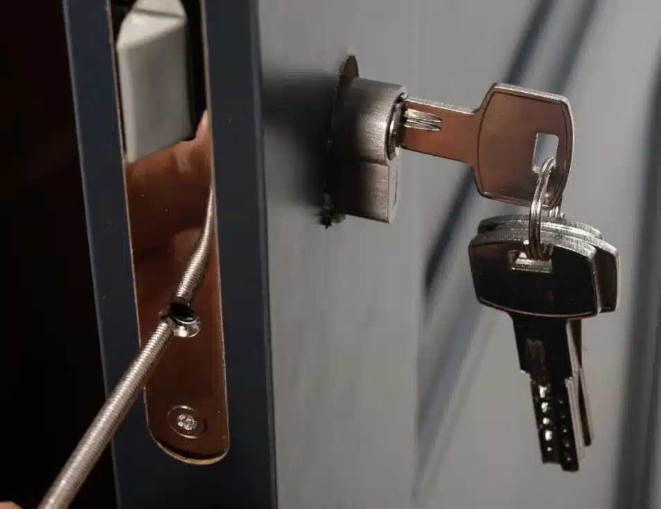 Door lock maintenance