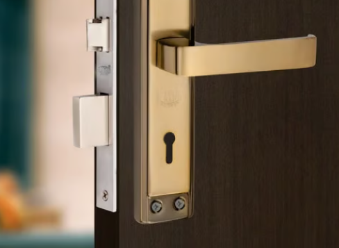 Lock Change Door with a motrice lock